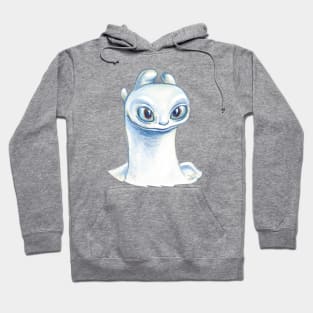 Toothless's girlfriend Hoodie